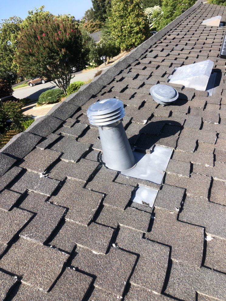 Lint removed from dryer vent during professional cleaning