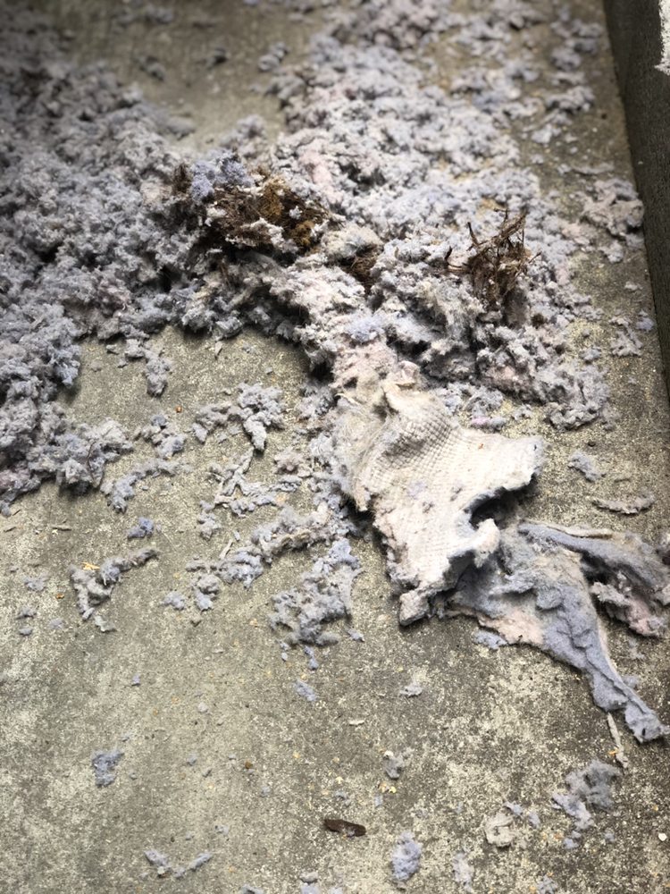 Lint removed from dryer vent